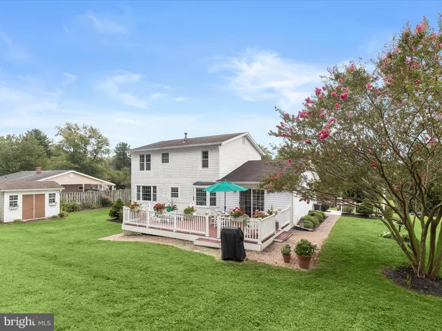 a view of a backyard with plants and a large tree