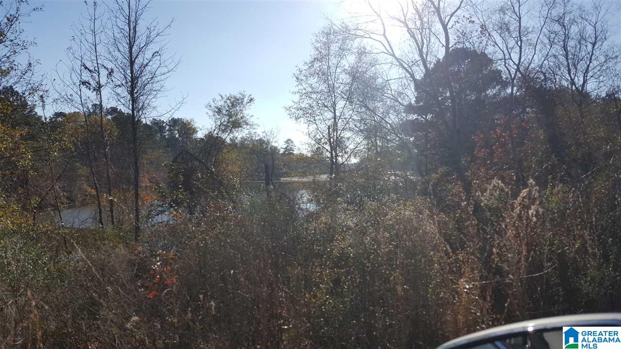 0 Haven Circle, Unit 39 Riverside, AL 35135 - Photo 6 of 32