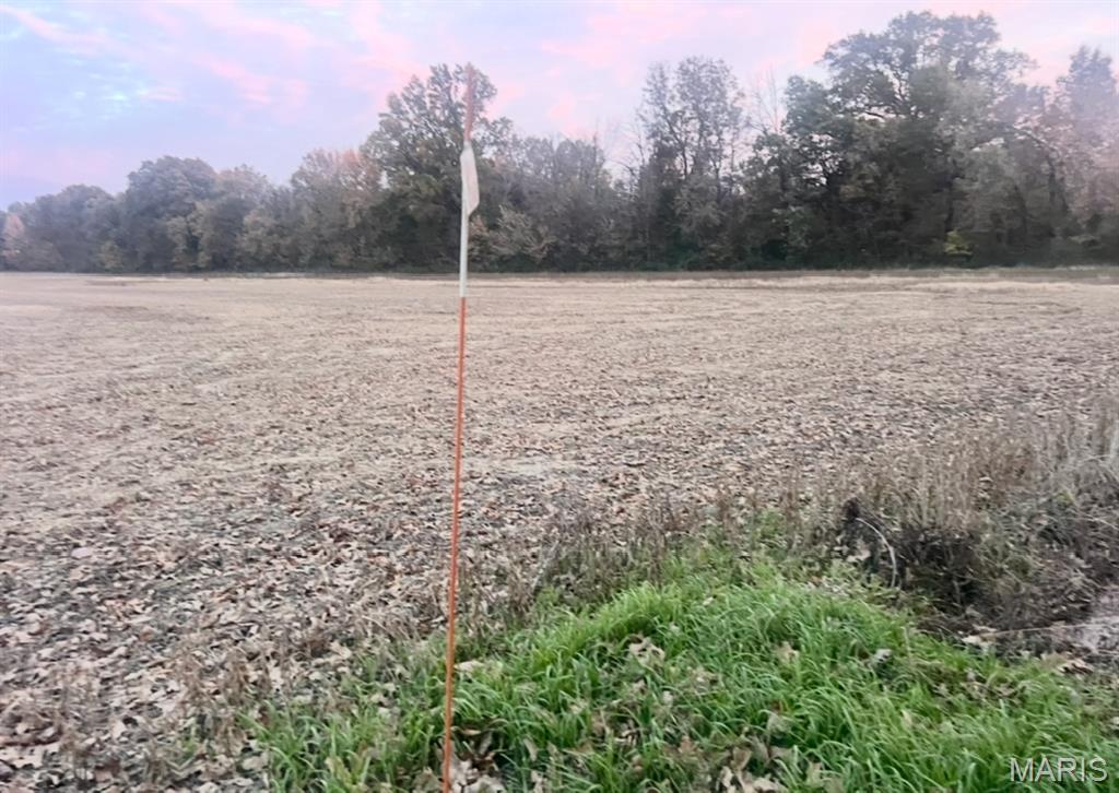 0 County Road 237 Bloomfield, MO 63825 - Photo 2 of 3