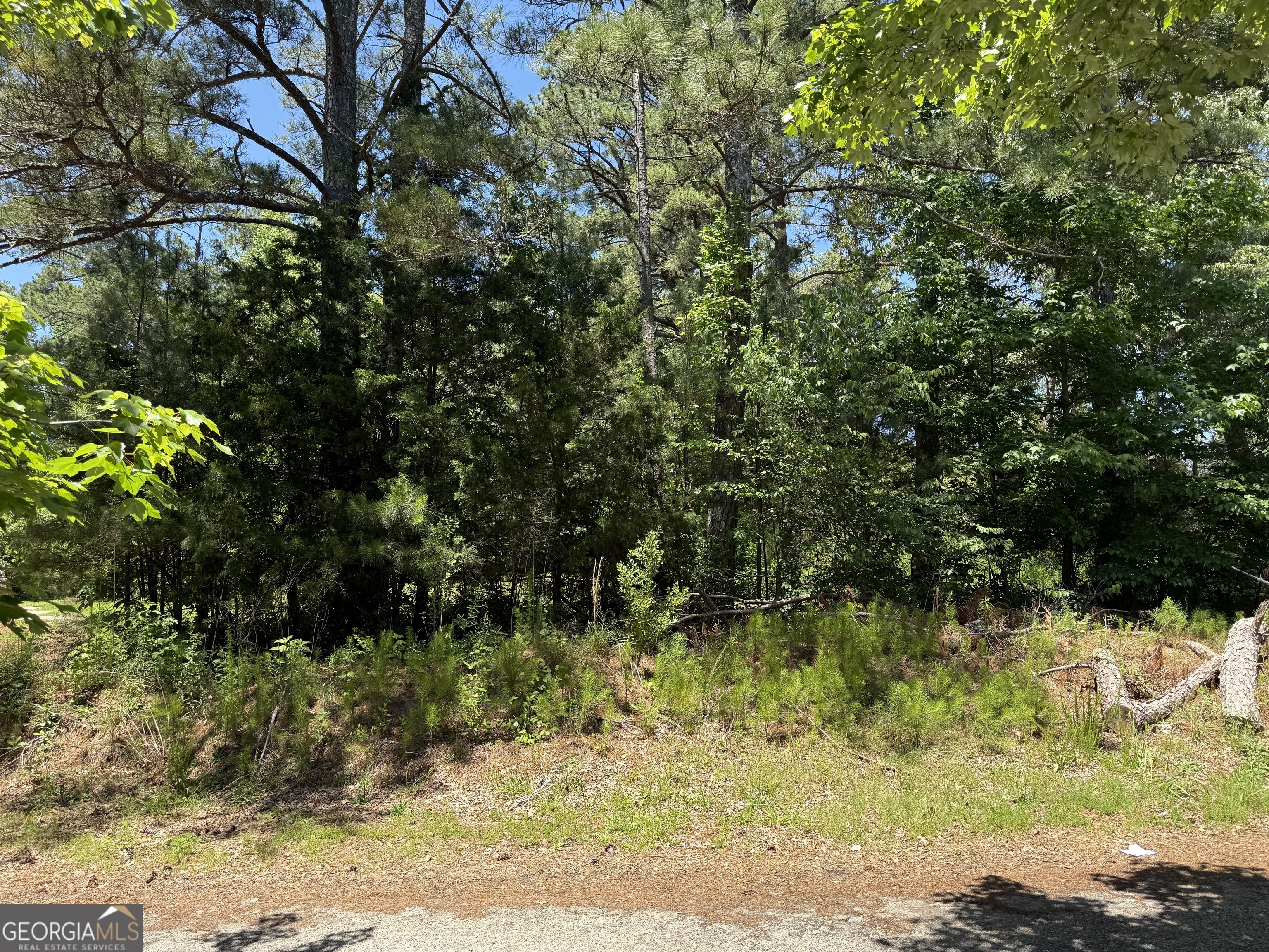 5565 Mason Rd., Unit REAR South Fulton, GA 30349 - Photo 1 of 2