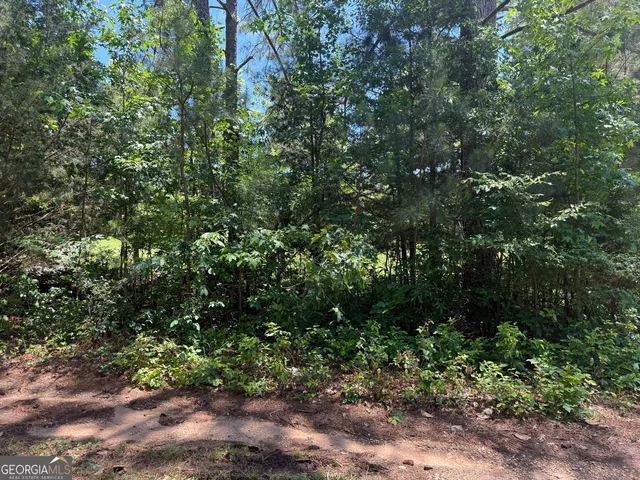 $35,000 | 5565 Mason Rd., Unit REAR, South Fulton, GA 30349