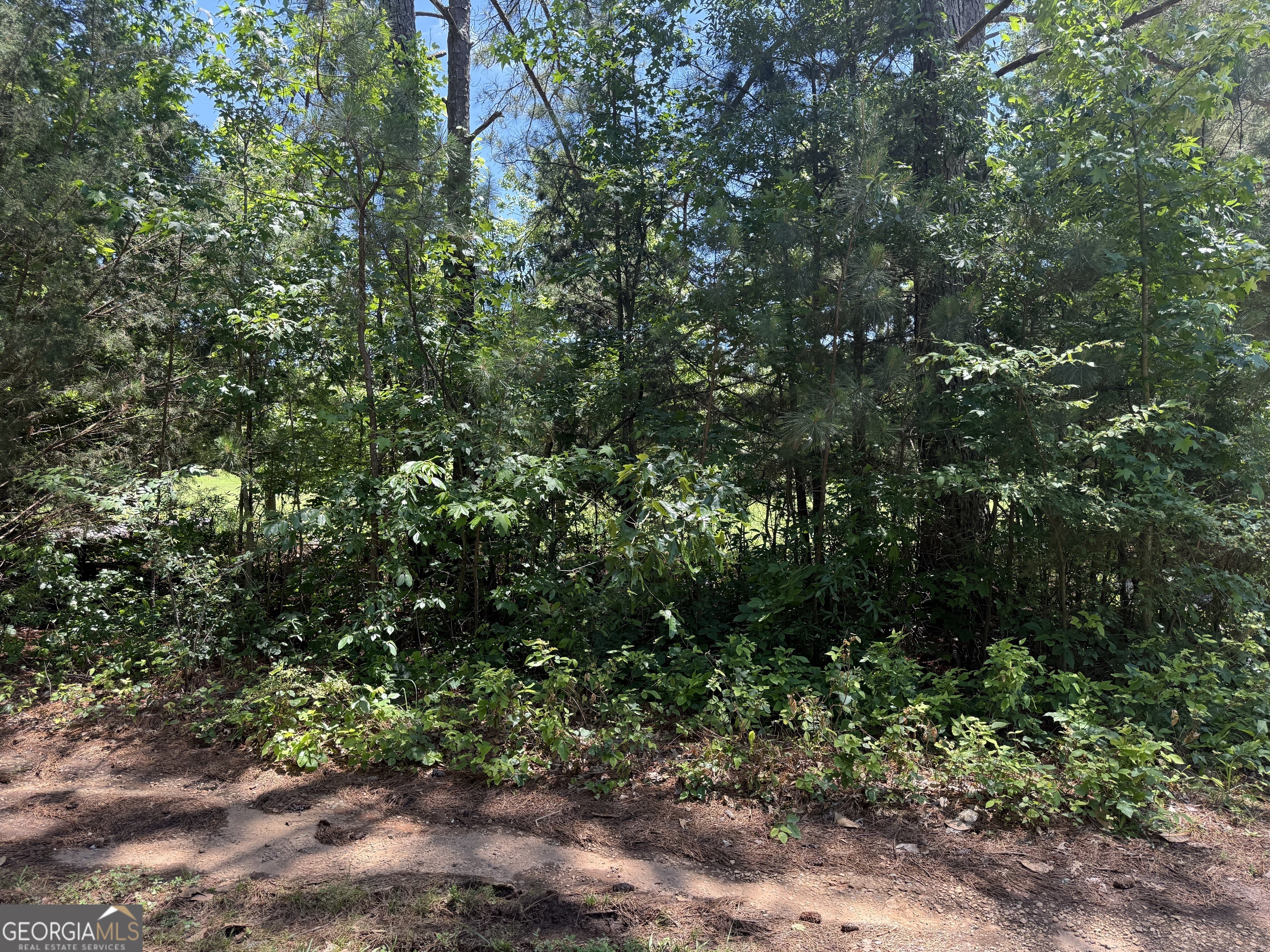 5565 Mason Rd., Unit REAR South Fulton, GA 30349 - Photo 2 of 2