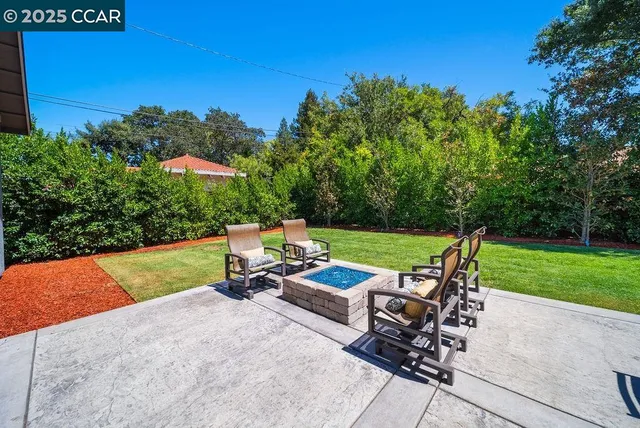 a view of a park with plants and trees