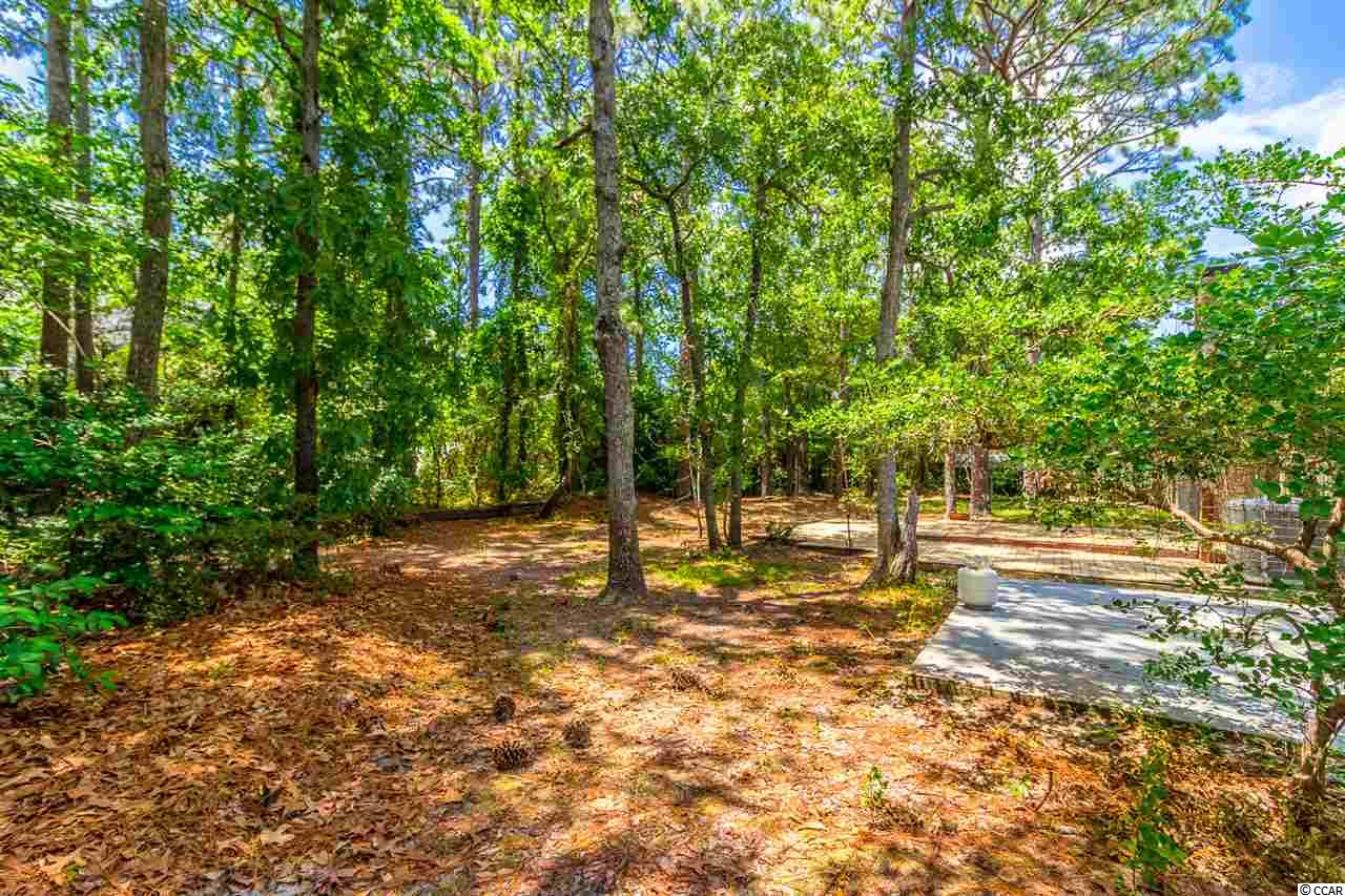 1345 Dick Pond Road Myrtle Beach, SC 29575 - Photo 23 of 25