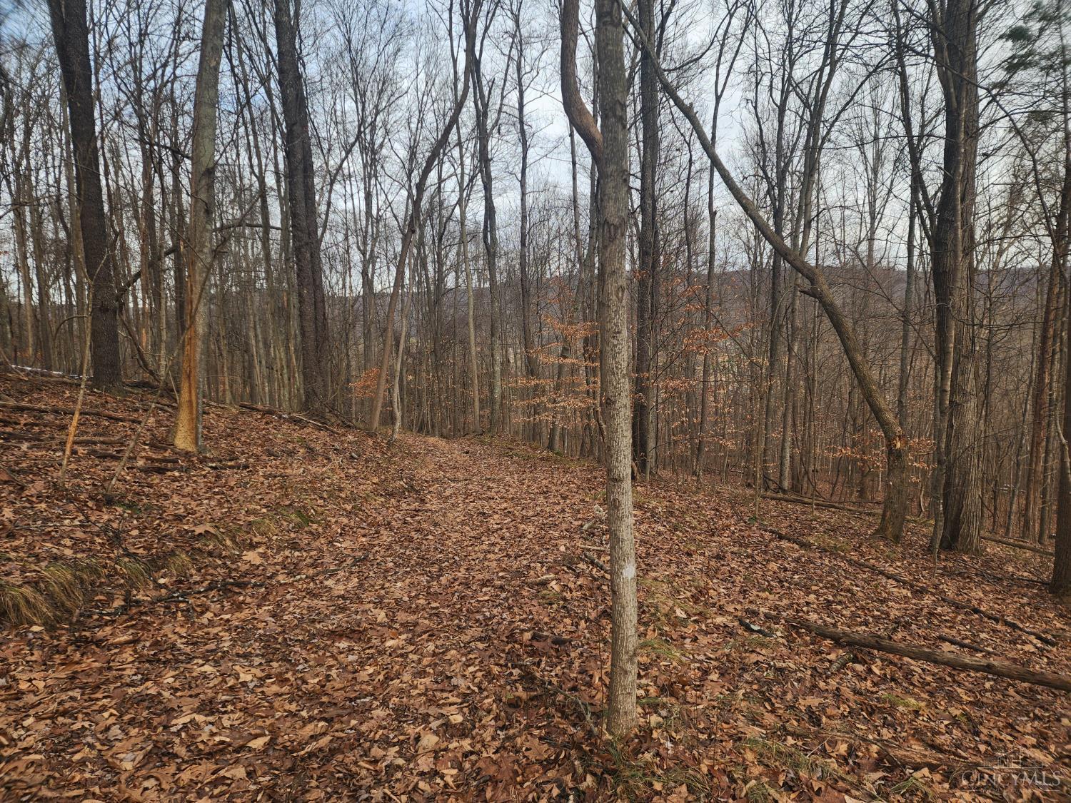 4655 Grassy Fork Road Peebles, OH 45660 - Photo 13 of 30