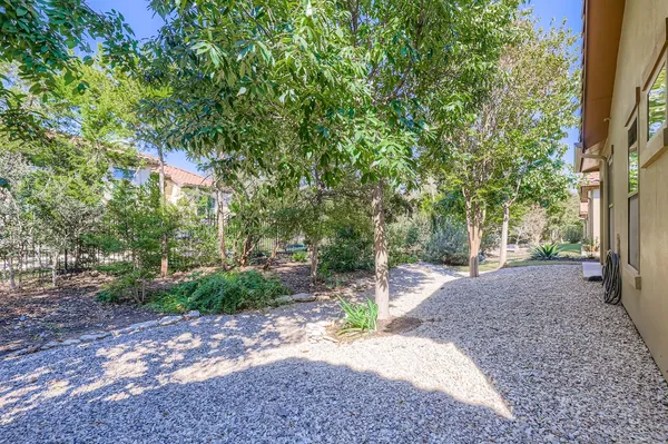 a view of a yard with plants and trees