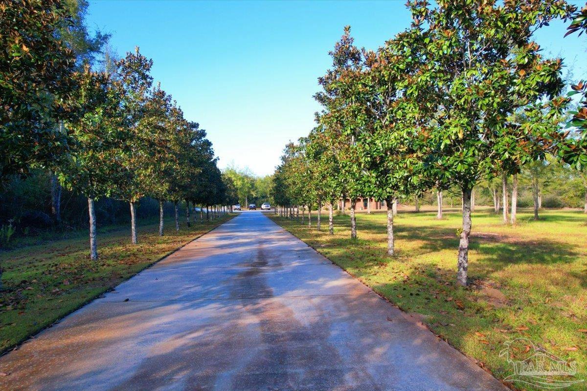 3144 Highway 182 Jay, FL 32565 - Photo 40 of 51