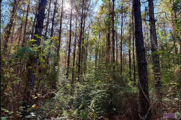 $364,900 | 25 Bobcat Lane, Amite, LA 70422