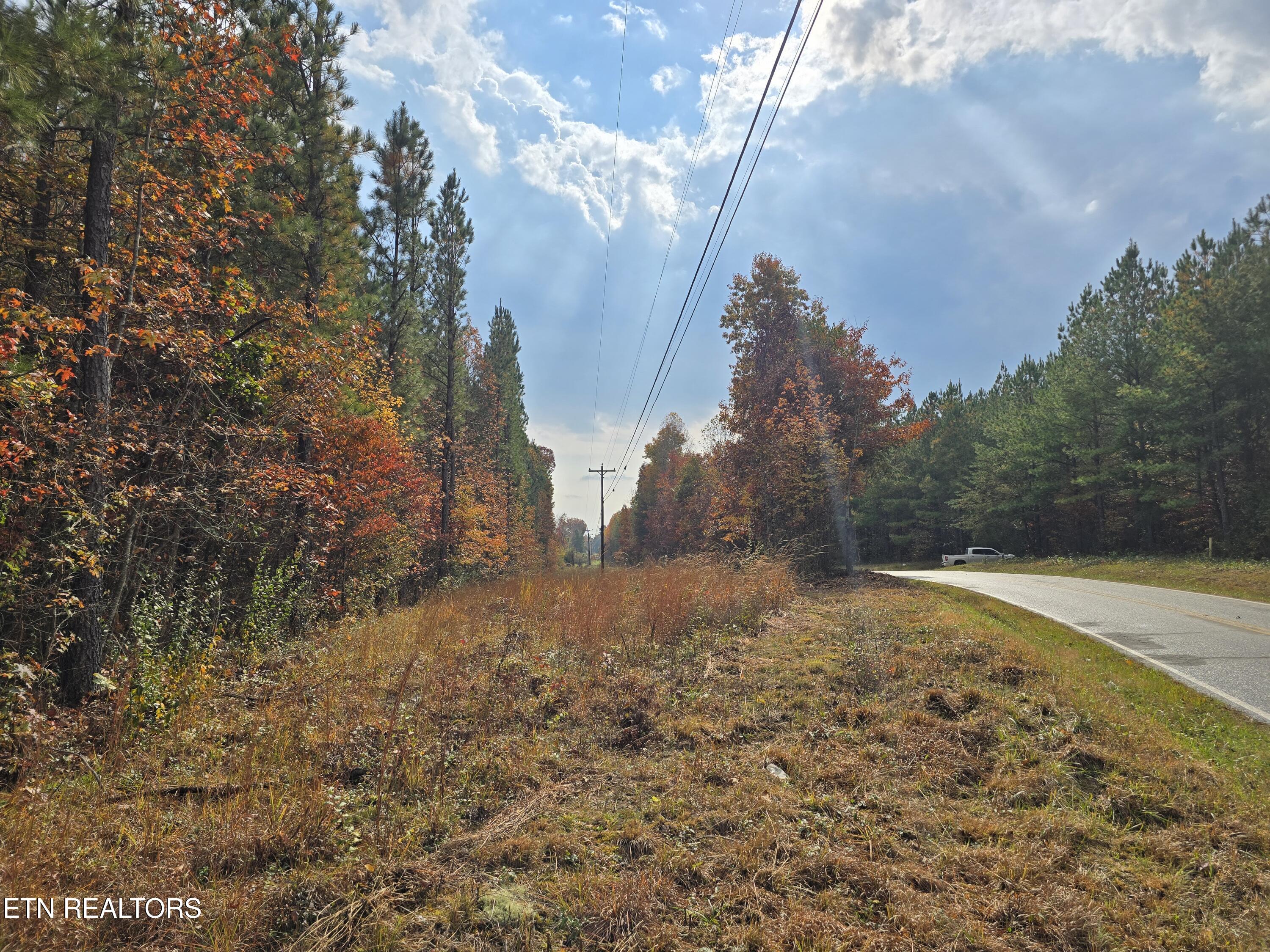 Lot 2 West Robbins Road Robbins, TN 37852 - Photo 6 of 8 Lot 2 Holly Woods (6)