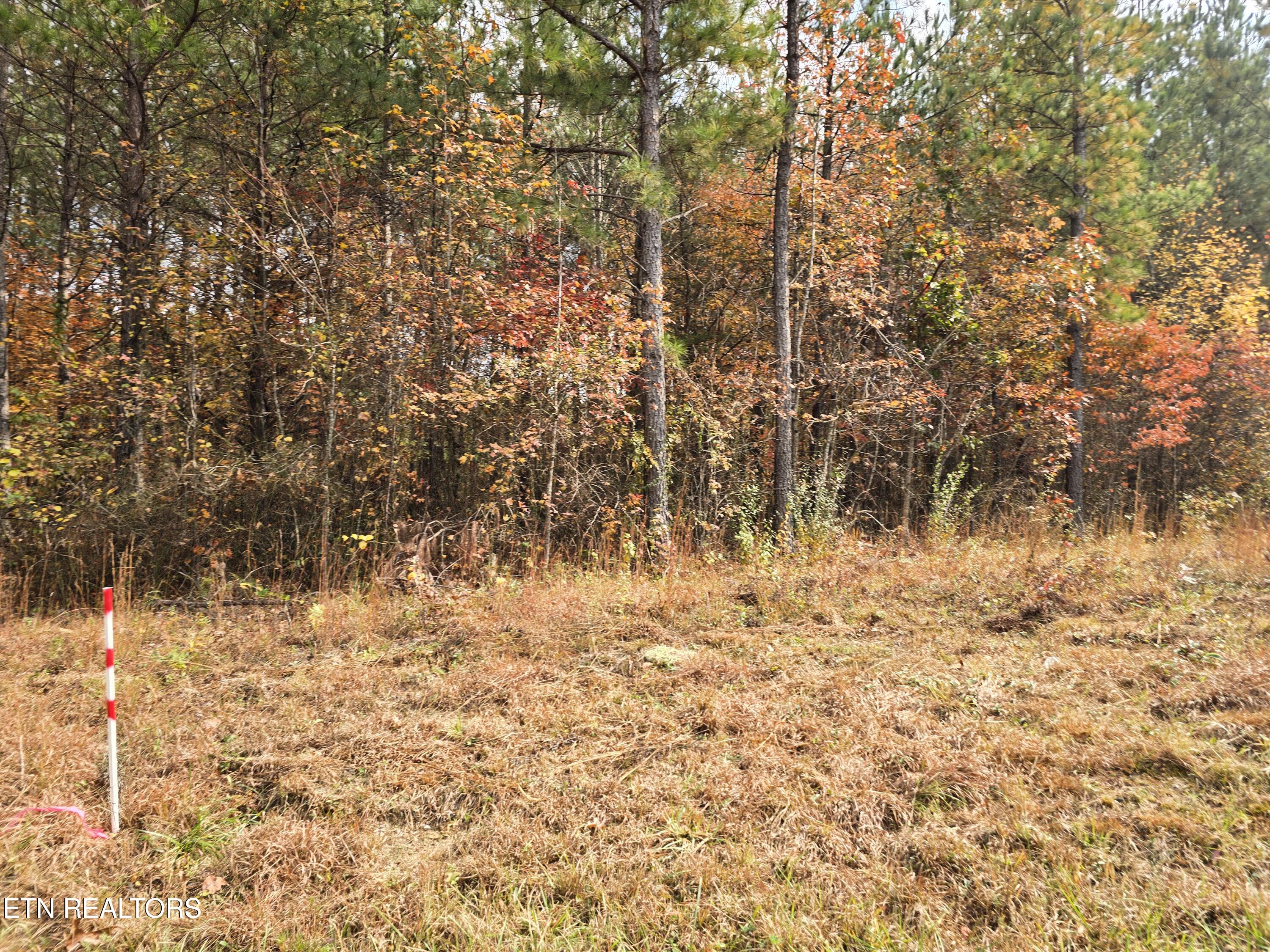 Lot 2 West Robbins Road Robbins, TN 37852 - Photo 7 of 8 Lot 2 Holly Woods (7)