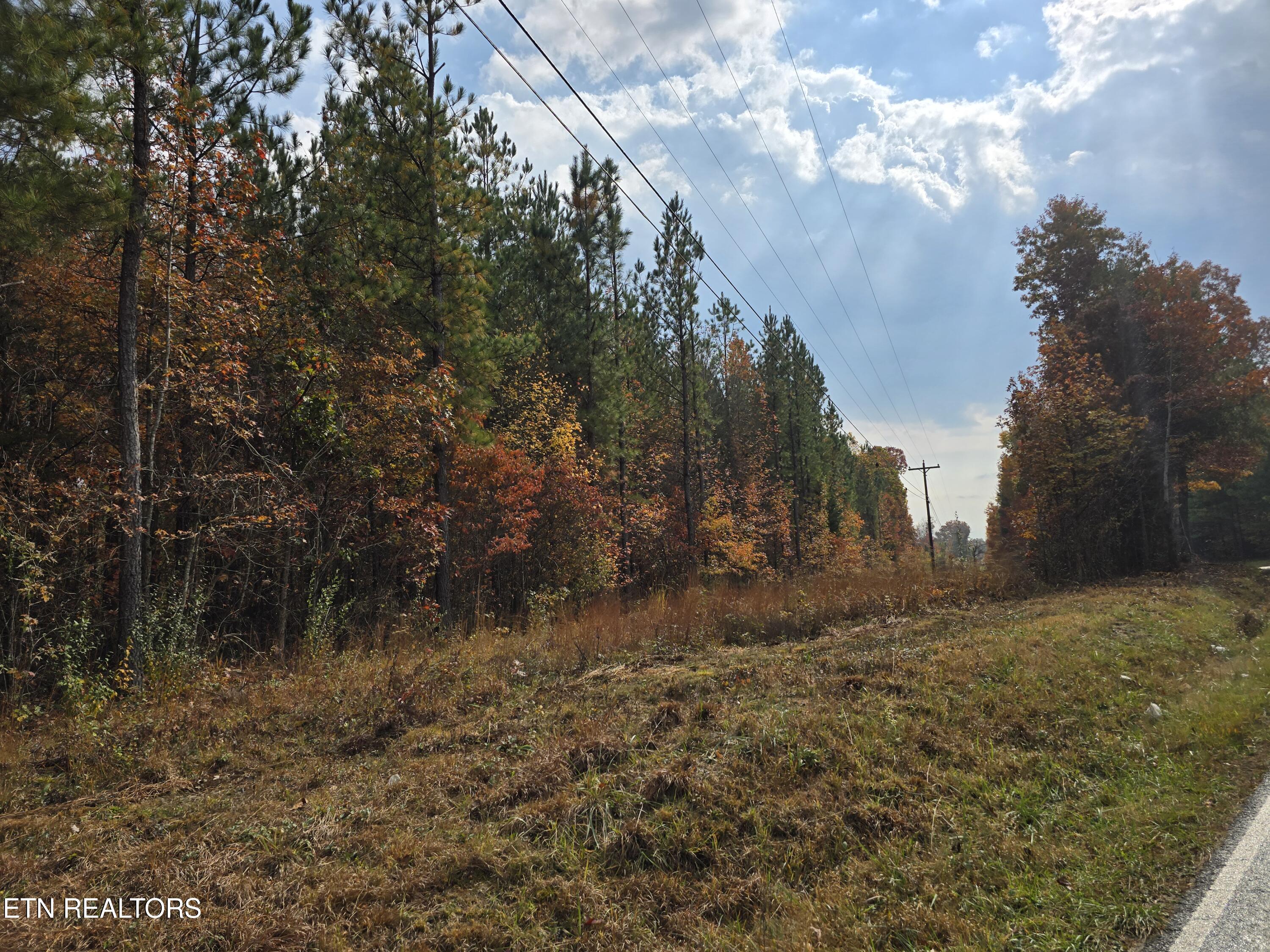 Lot 2 West Robbins Road Robbins, TN 37852 - Photo 8 of 8 Lot 2 Holly Woods (8)