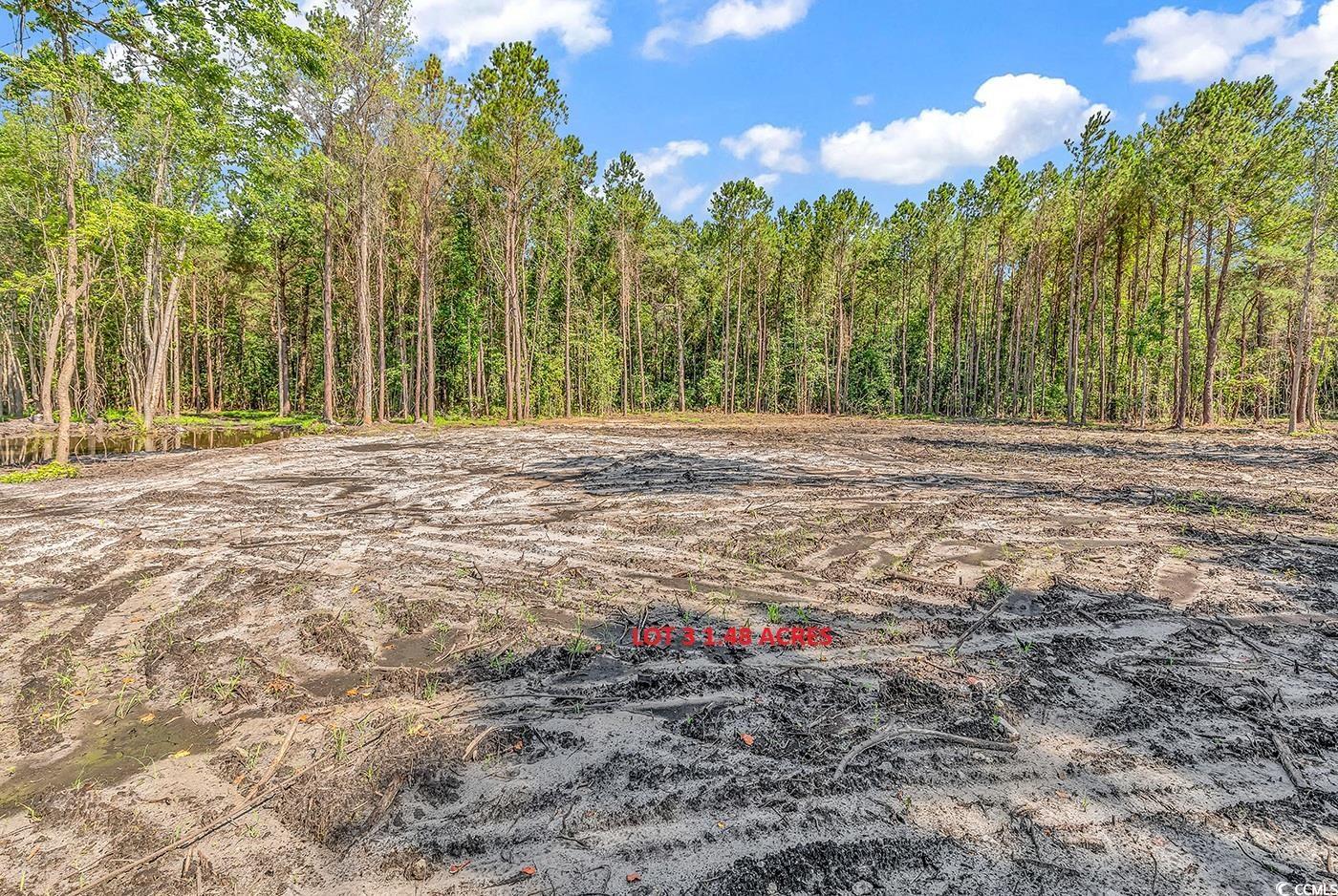 Tbb3 Coats Road Loris, SC 29569 - Photo 5 of 10 View of yard featuring a forest view