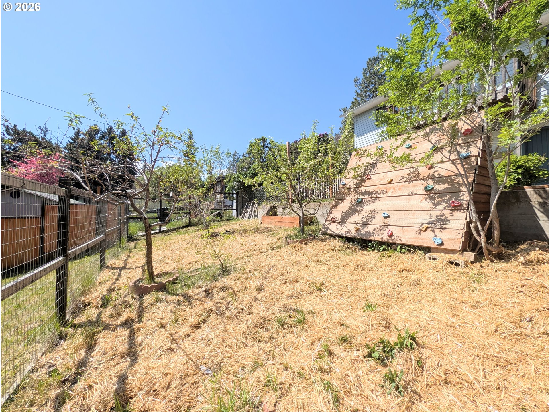 1624 Foley Street La Grande, OR 97850 - Photo 13 of 37 a view of a yard