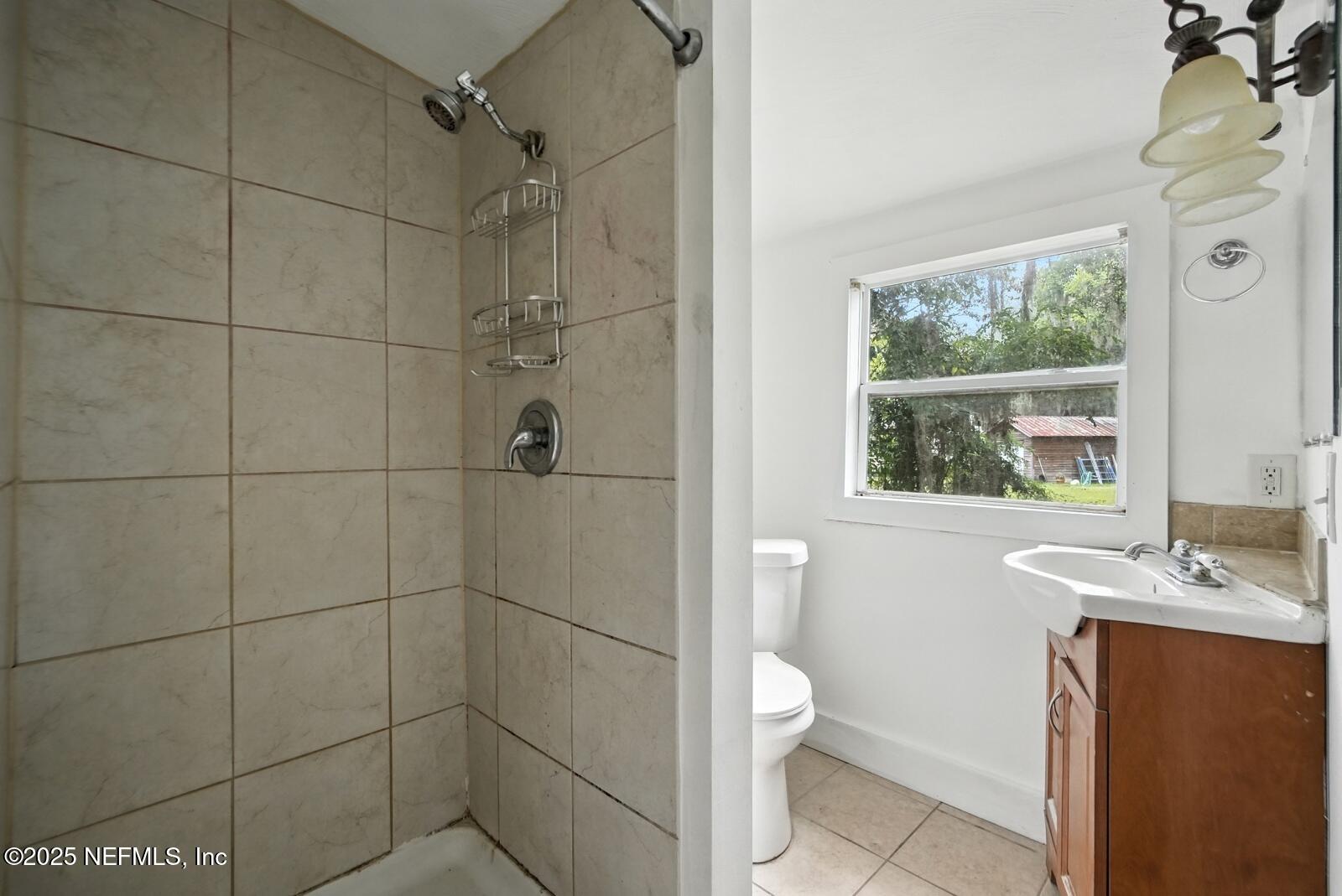 412 Madison Street Palatka, FL 32177 - Photo 20 of 29 a bathroom with a sink toilet and shower