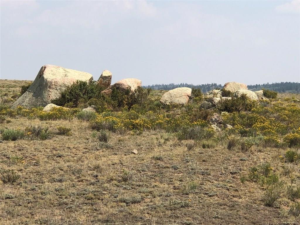 133 Link Road Como, CO 80432 - Photo 2 of 11
