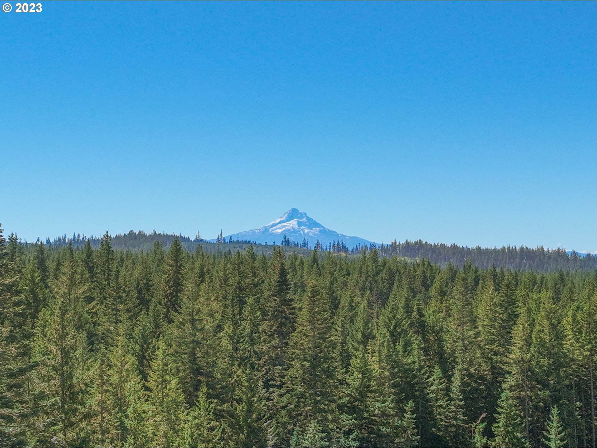 55 Moonshine Road Appleton, WA 98602 - Photo 29 of 33 a view of a lush green forest with trees in the background