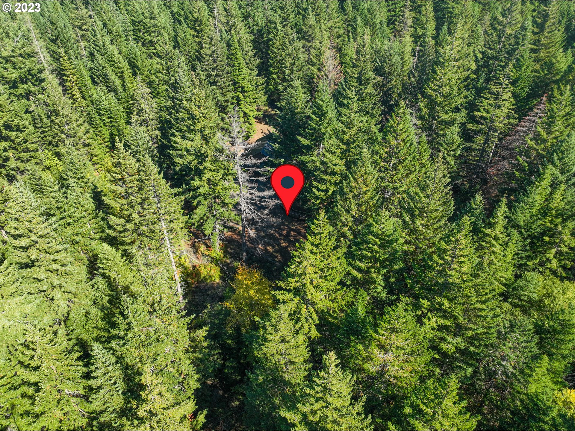 55 Moonshine Road Appleton, WA 98602 - Photo 32 of 33 a view of a outdoor space and a signage