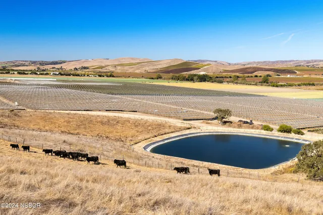 a front view of a house with a yard covered in snow