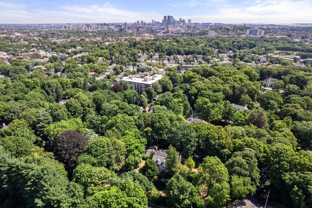 41 Codman Road Brookline, MA 02445 - Photo 13 of 14