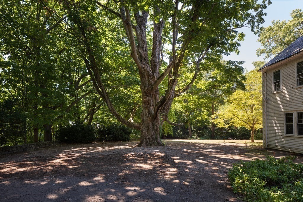 41 Codman Road Brookline, MA 02445 - Photo 10 of 14