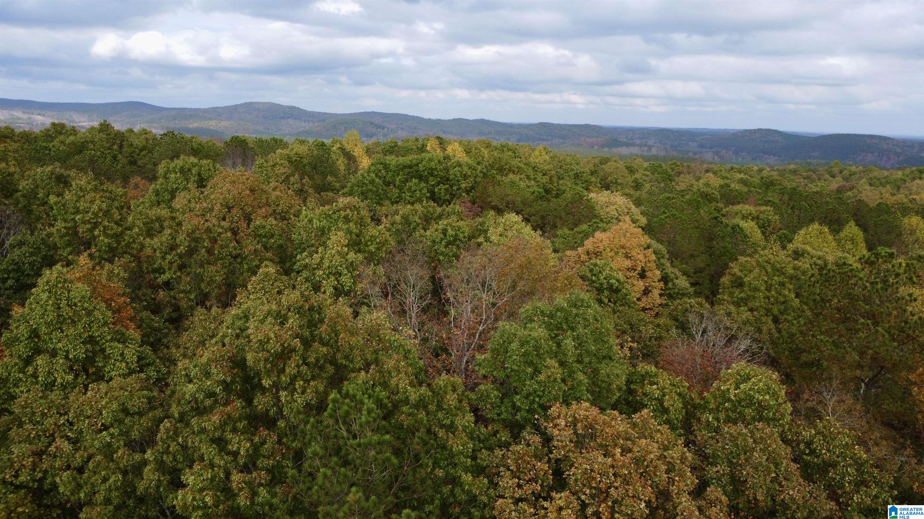 4348 County Road 25, Unit 1 Heflin, AL 36264 - Photo 21 of 22