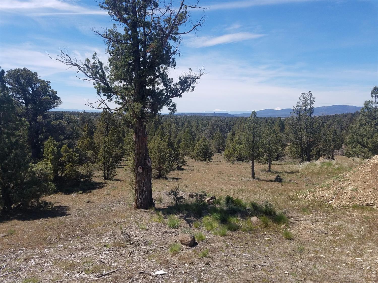 12632 Southeast Bridge Road Prineville, OR 97754 - Photo 5 of 14 Additional Photo