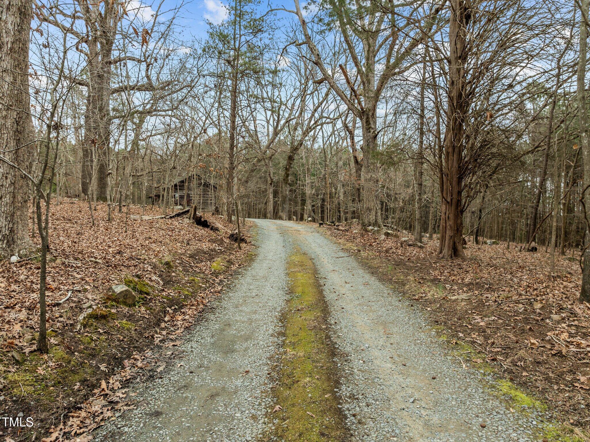 753 Smith Level Road Chapel Hill, NC 27516 - Photo 14 of 26 14-web-or-mls-DJI_0765