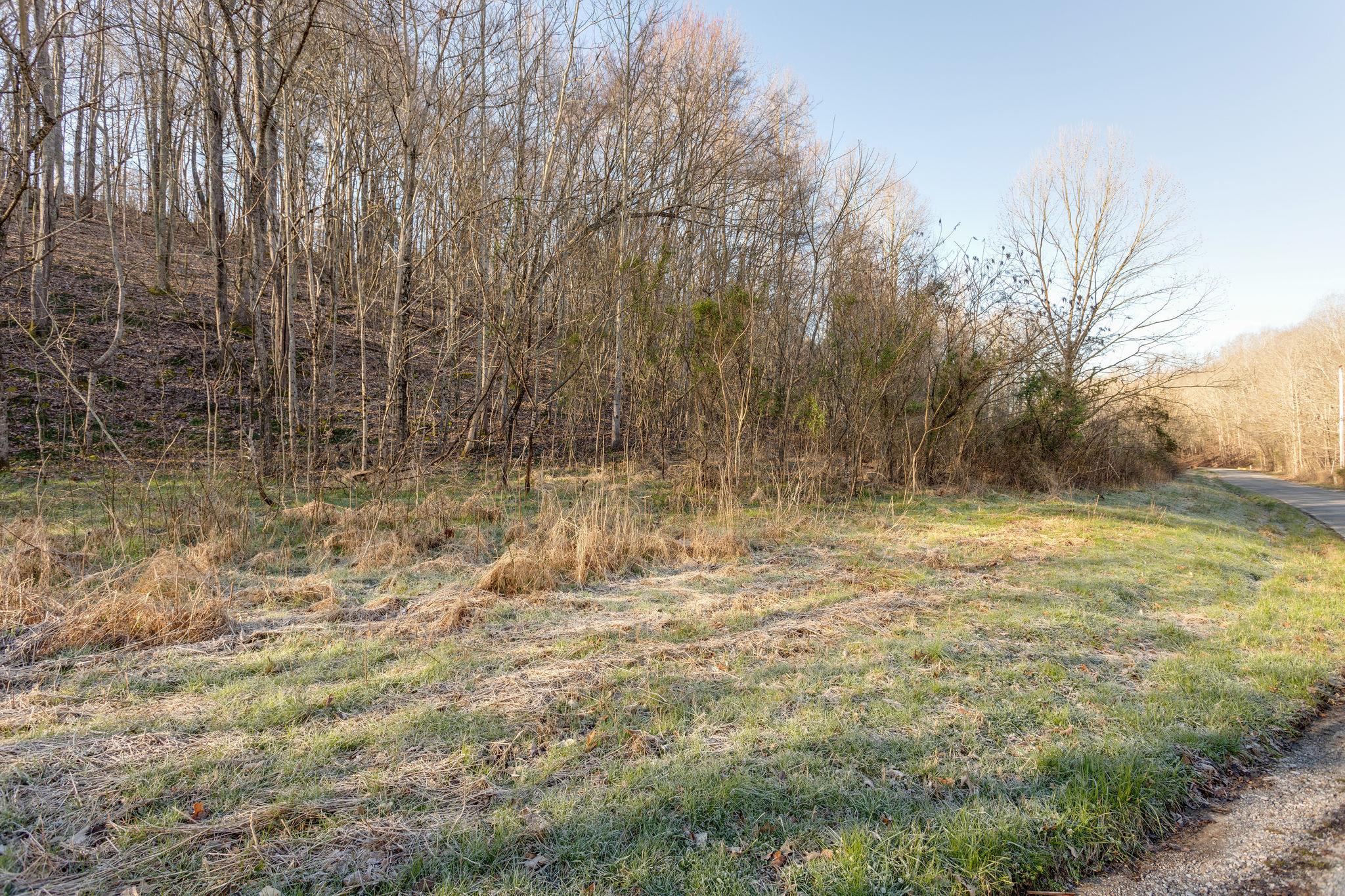 0 Blue Branch Road Lynnville, TN 38472 - Photo 3 of 14 Gallery Image 3
