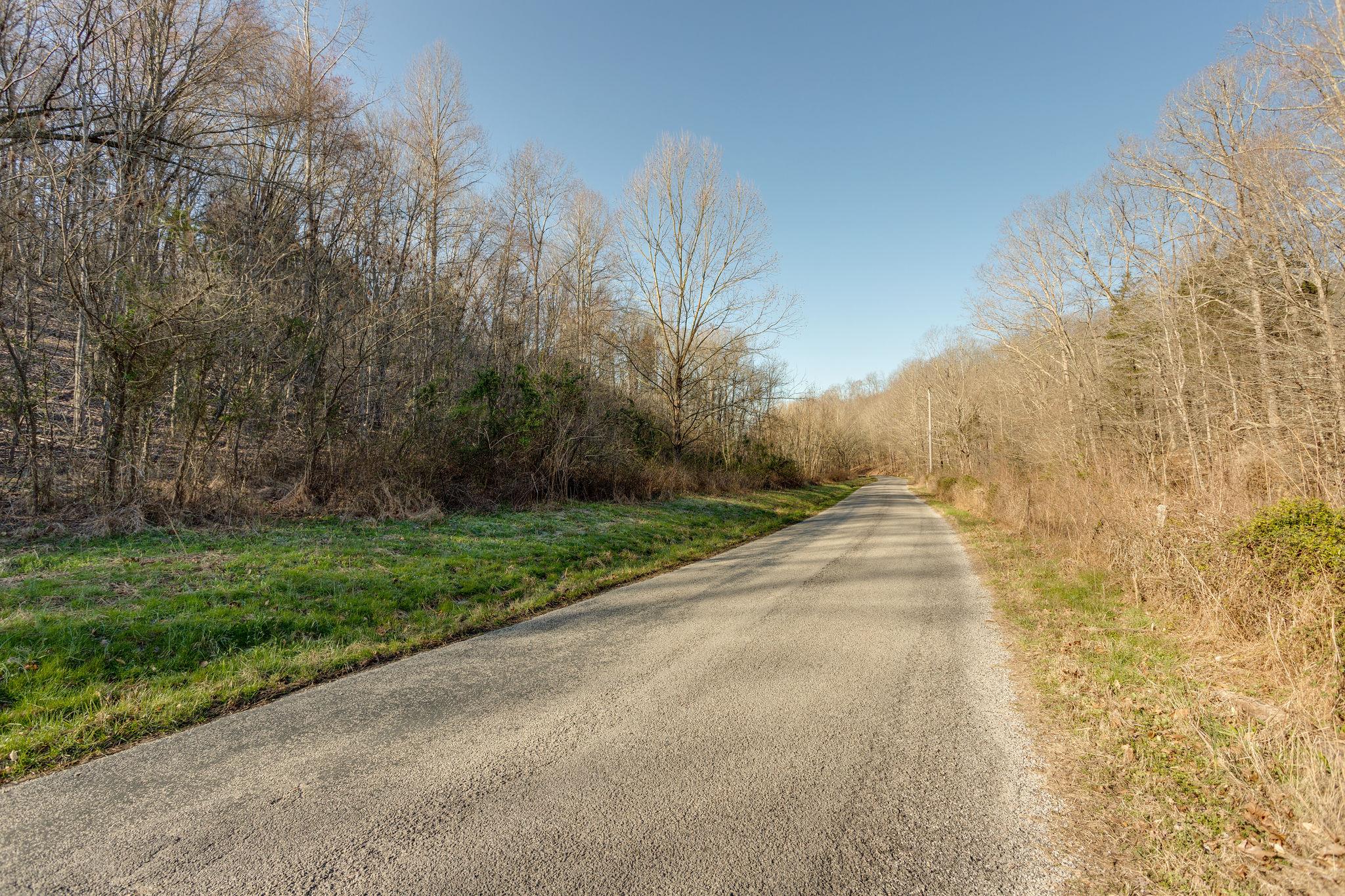 0 Blue Branch Road Lynnville, TN 38472 - Photo 4 of 14 Gallery Image 4