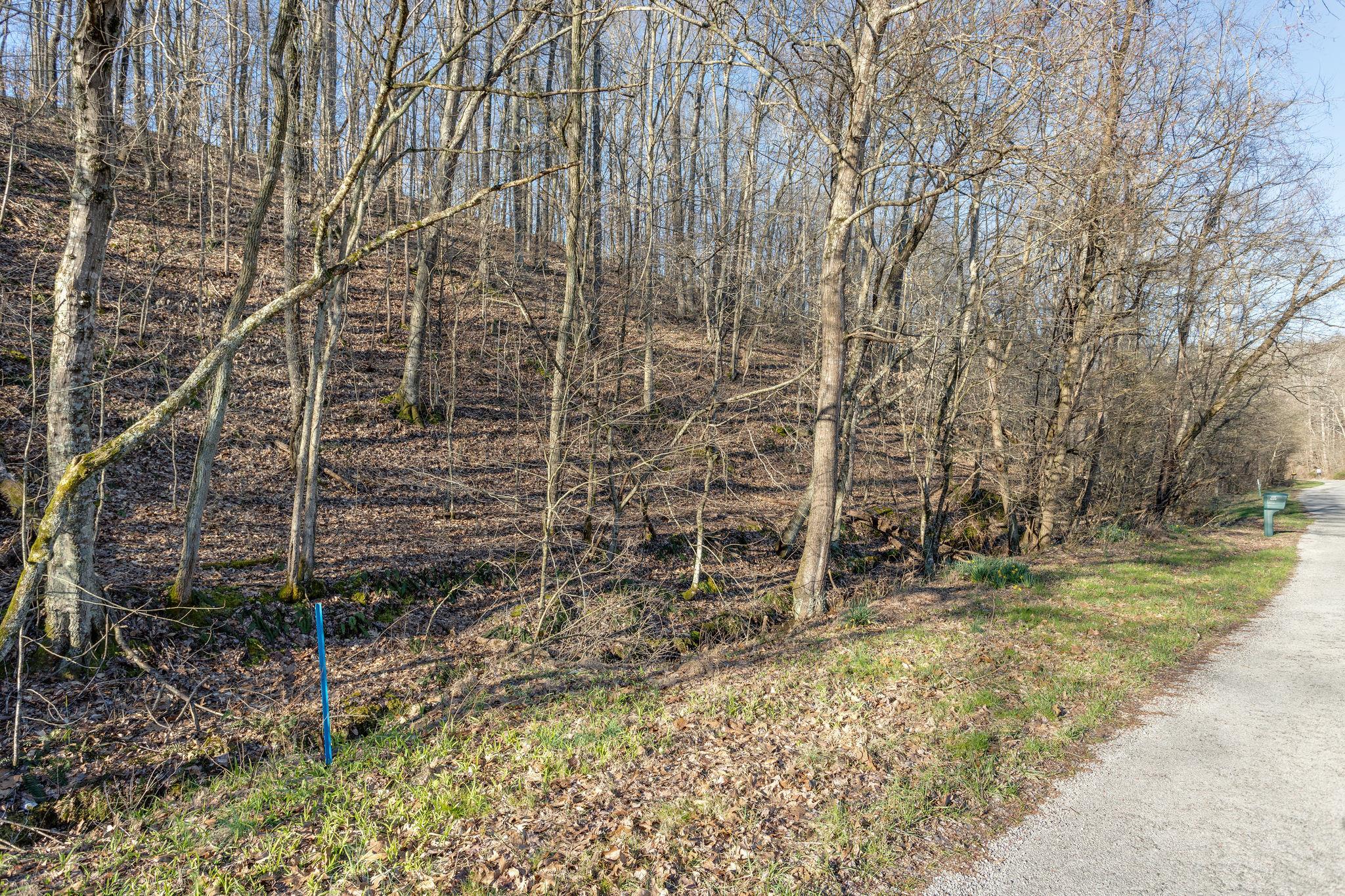 0 Blue Branch Road Lynnville, TN 38472 - Photo 5 of 14 Gallery Image 5