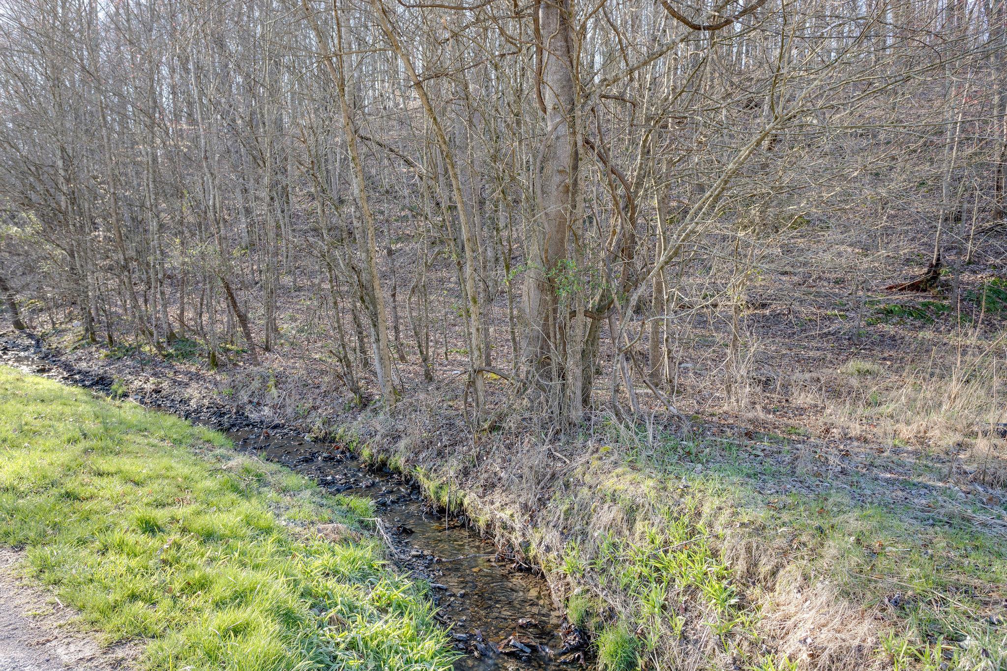 0 Blue Branch Road Lynnville, TN 38472 - Photo 6 of 14 Gallery Image 6