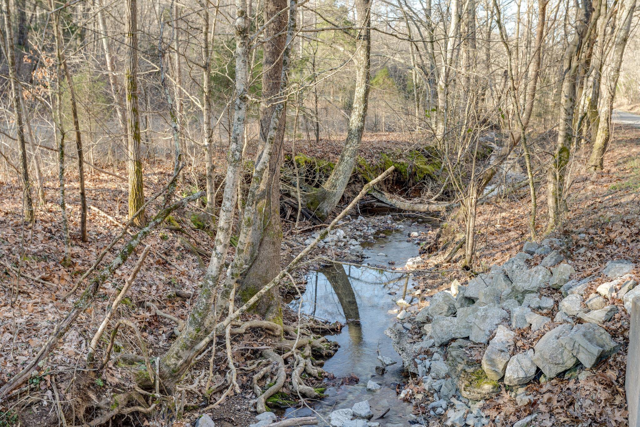 0 Blue Branch Road Lynnville, TN 38472 - Photo 7 of 14 Gallery Image 7