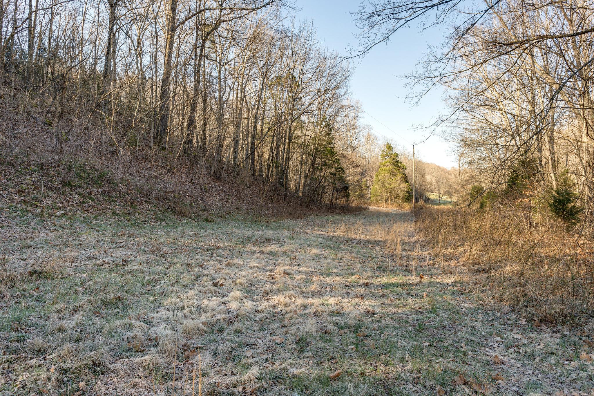 0 Blue Branch Road Lynnville, TN 38472 - Photo 8 of 14 Gallery Image 8
