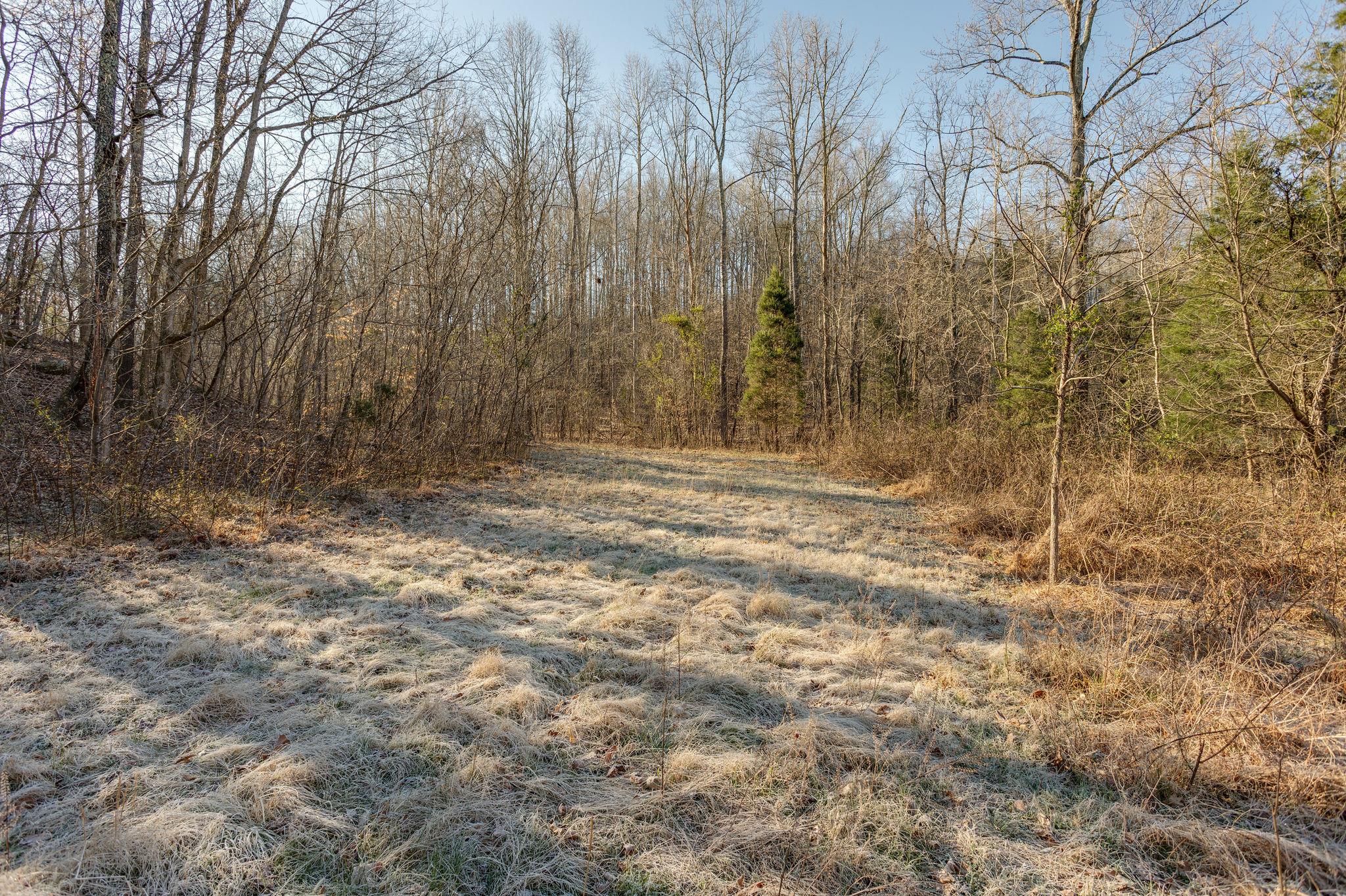 0 Blue Branch Road Lynnville, TN 38472 - Photo 9 of 14 Gallery Image 9