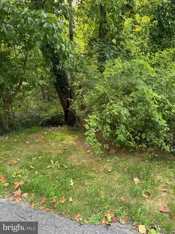 a view of a yard with a tree