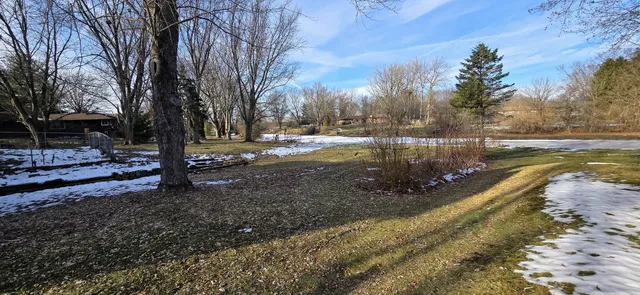a view of a yard with trees