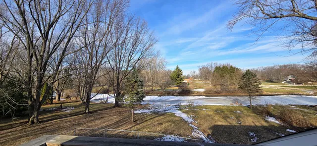 a view of a yard with an trees