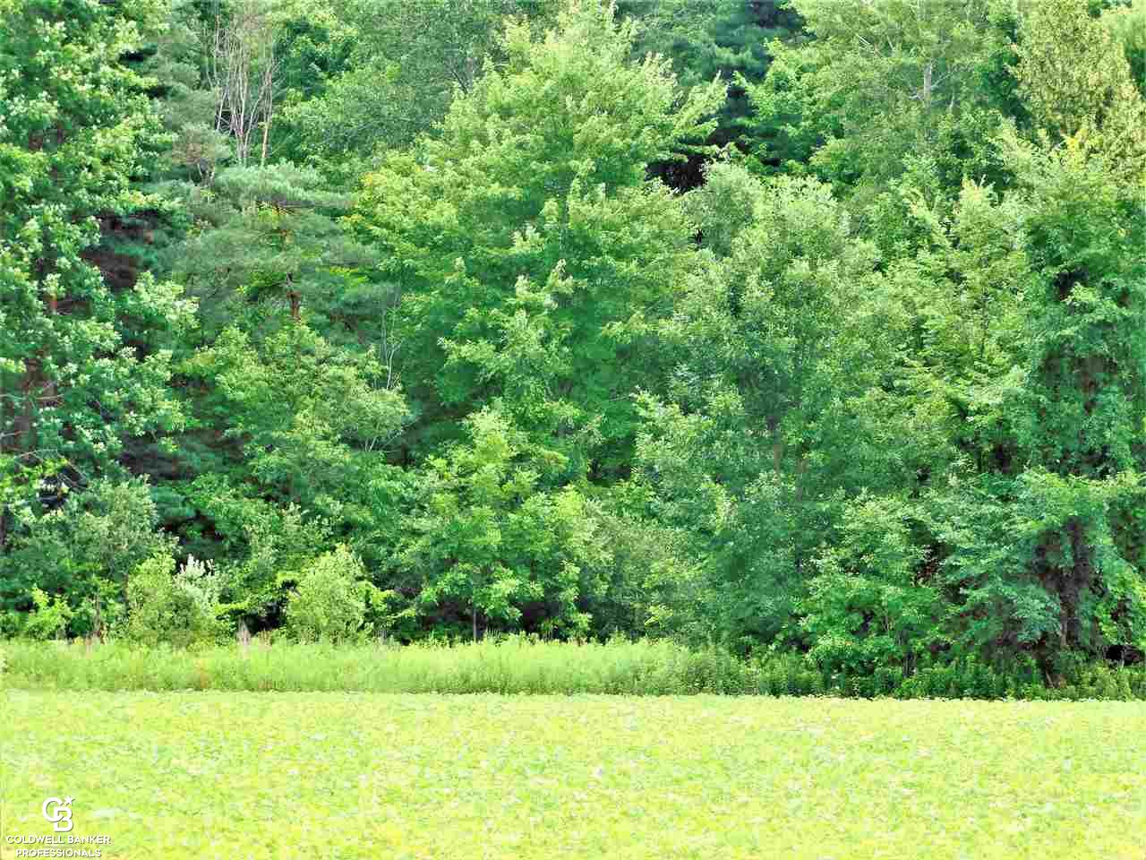 Cribbins Road North Street, MI 48049 - Photo 4 of 7