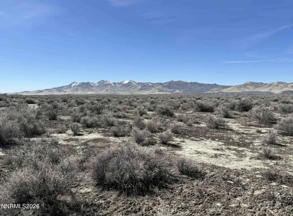 a view of a forest with mountains in the background