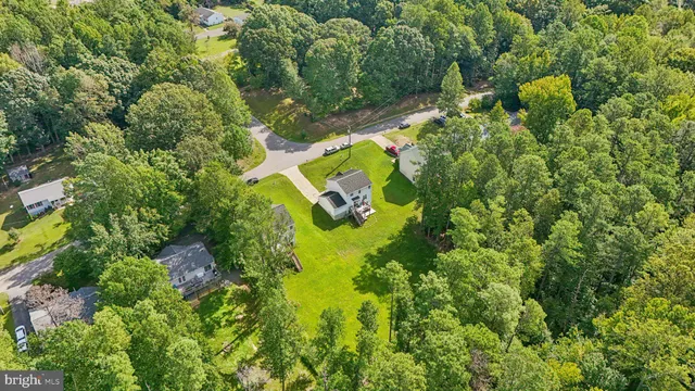 a green field with lots of trees