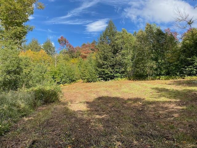 1080 Prickly Mountain Road Warren, VT 05674 - Photo 1 of 10