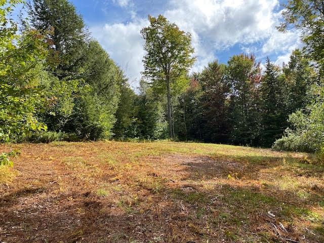 1080 Prickly Mountain Road Warren, VT 05674 - Photo 2 of 10