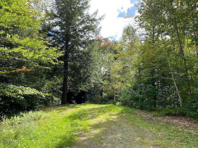 1080 Prickly Mountain Road Warren, VT 05674 - Photo 3 of 10