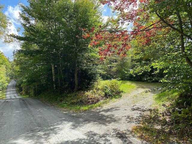 1080 Prickly Mountain Road Warren, VT 05674 - Photo 4 of 10