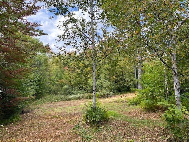 1080 Prickly Mountain Road Warren, VT 05674 - Photo 6 of 10