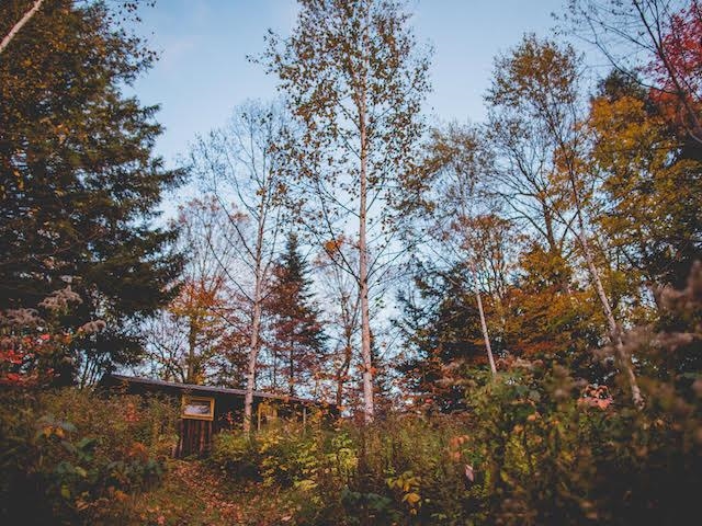 1080 Prickly Mountain Road Warren, VT 05674 - Photo 10 of 10