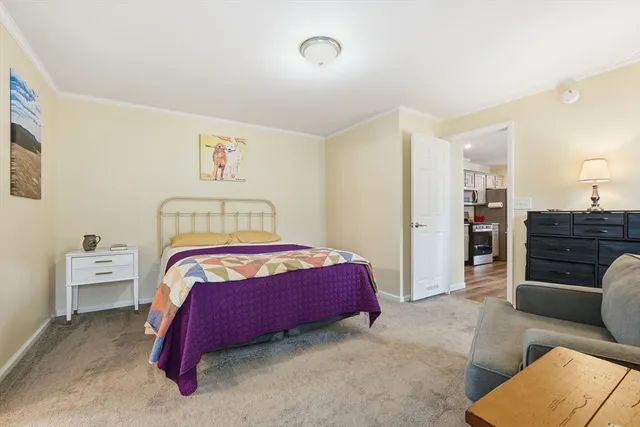 a bedroom with a bed and furniture