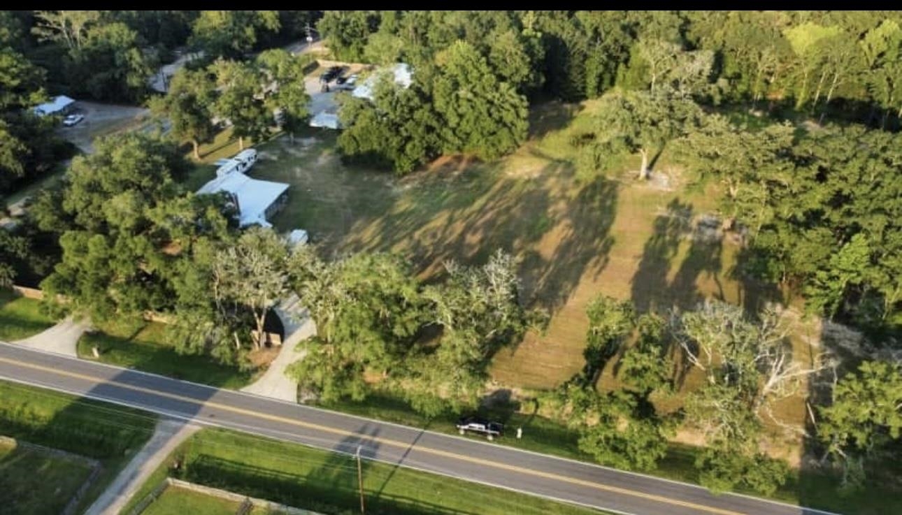 286 Dead Lake Road Creola, AL 36525 - Photo 4 of 5 Aerial View