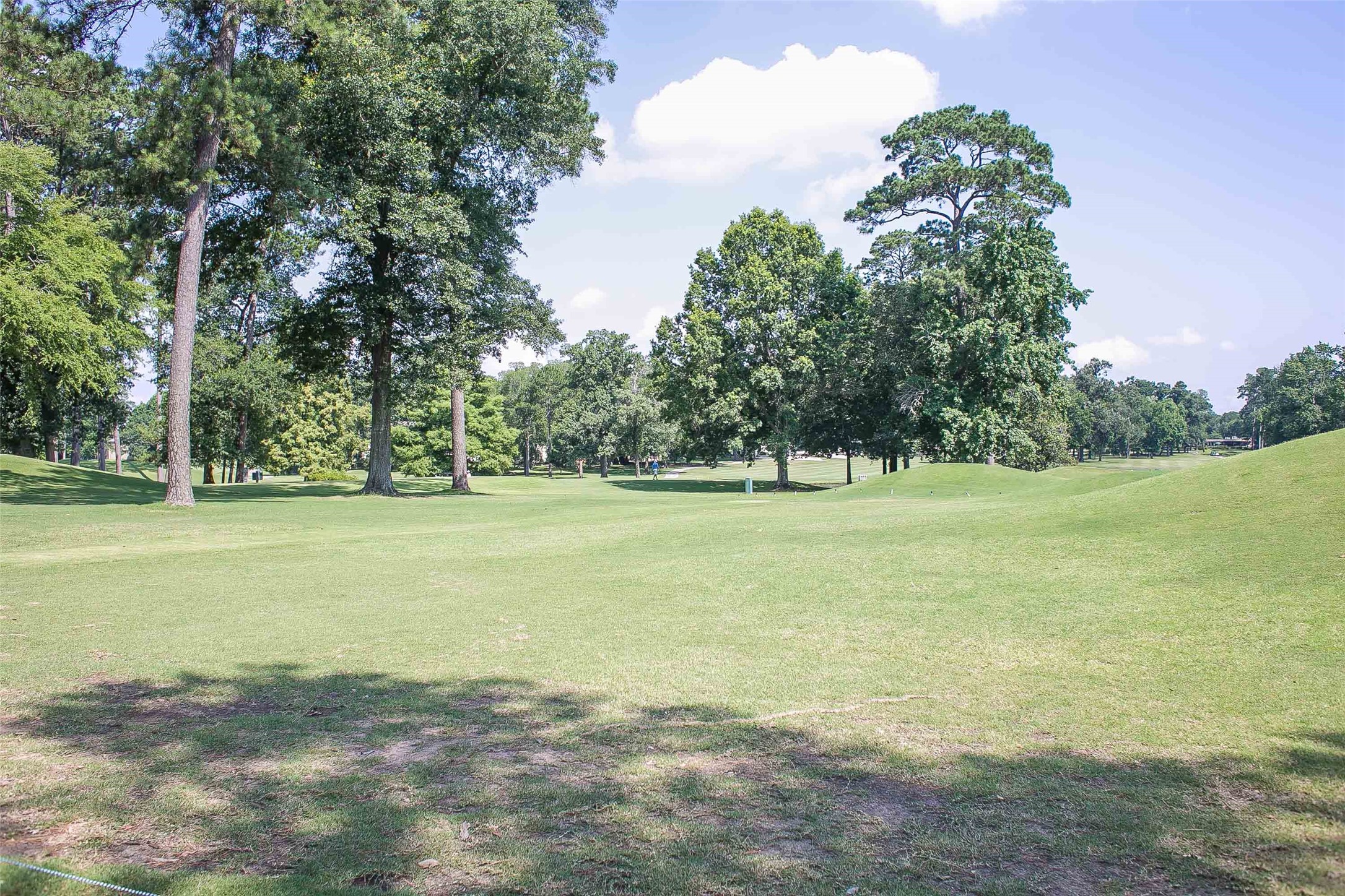 12900 Walden Road, Unit 220B Montgomery, TX 77356 - Photo 32 of 50