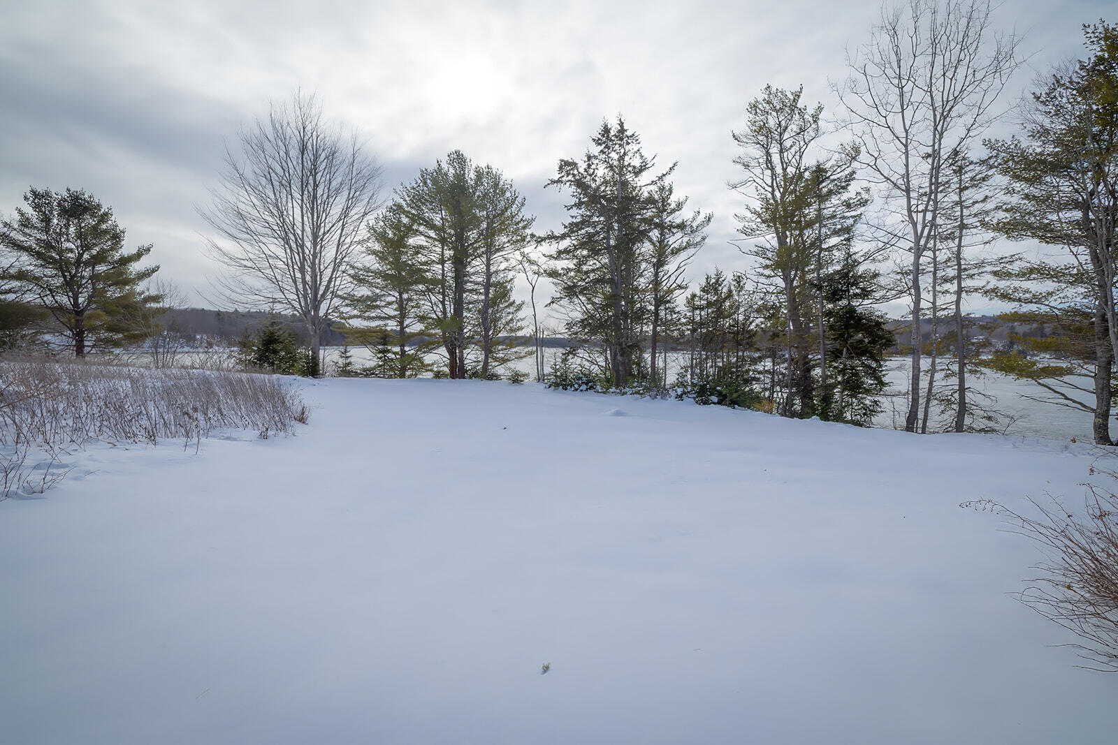 115 Gross Point Road Orland, ME 04472 - Photo 101 of 102 110-115 Gross Point Road-DTP_websize